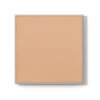 Maquillaje en Crema con Acabado en Polvo Endless Performance® 10g
