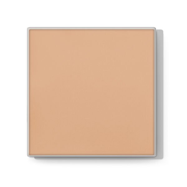 Maquillaje en Crema con Acabado en Polvo Endless Performance® 10g